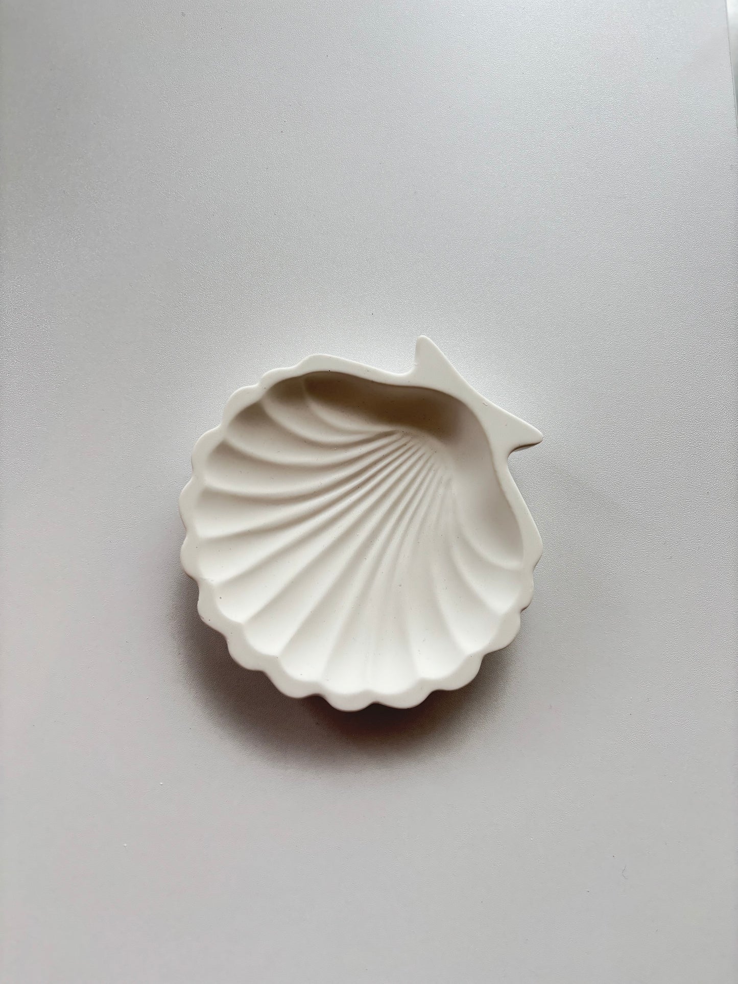 Ocean Schale