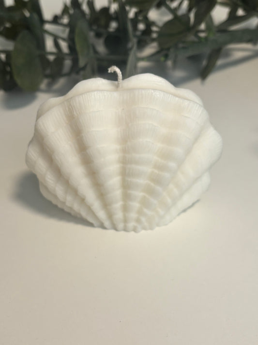 Shell